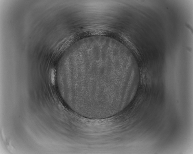 X0000100350026200806201551