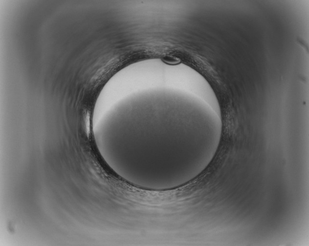 X0000100350027200806201551