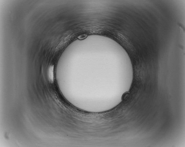 X0000100350028200806201551