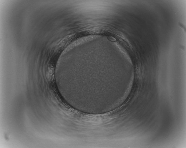 X0000100350029200806201551