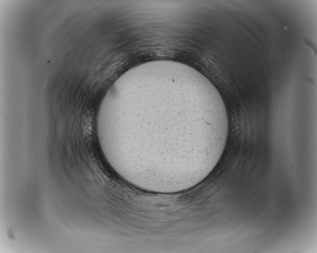 X0000100350032200806201551