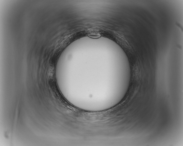 X0000100350033200806201551