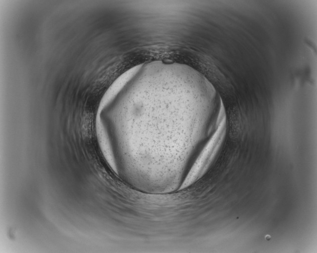 X0000100350034200806201551