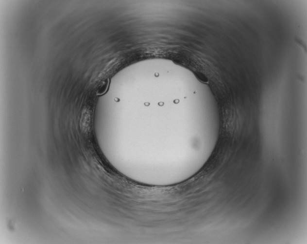 X0000100350036200806201551