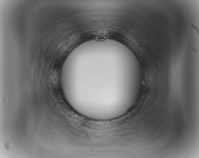X0000100350037200806201551