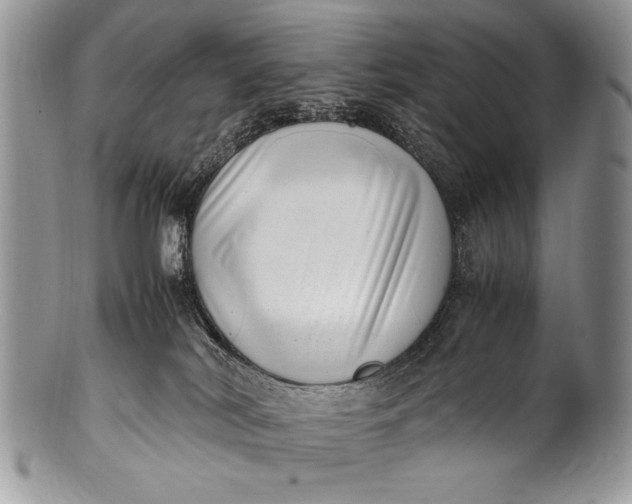 X0000100350038200806201551