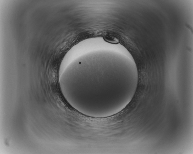 X0000100350039200806201551