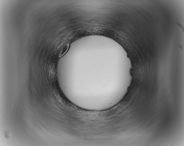 X0000100350040200806201551