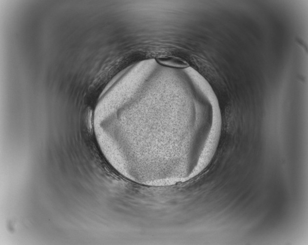 X0000100350041200806201551