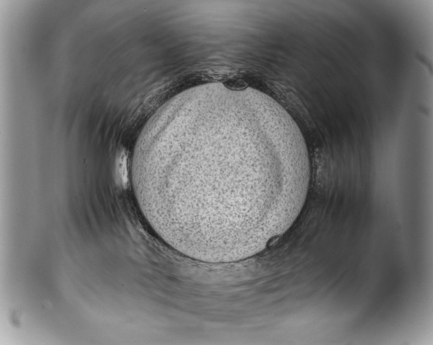 X0000100350042200806201551
