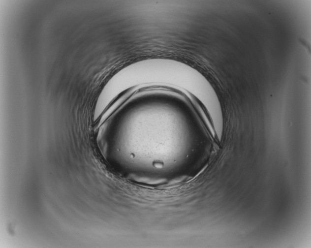 X0000100350043200806201551
