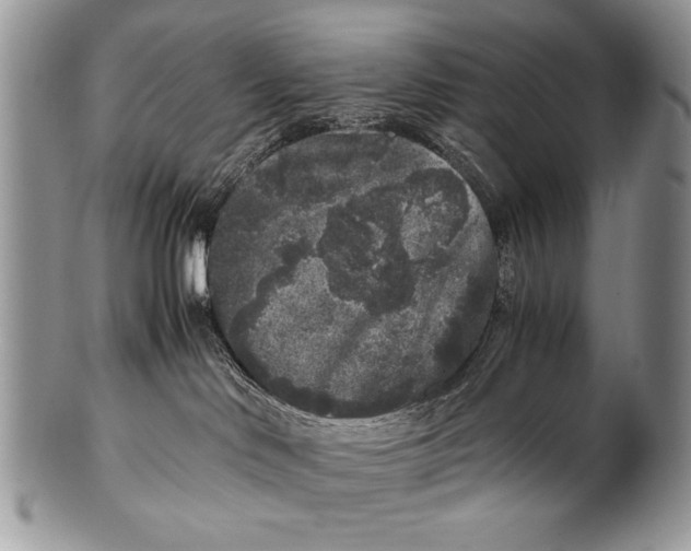 X0000100350046200806201551