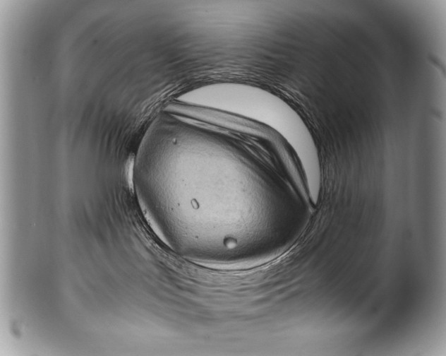 X0000100350047200806201551