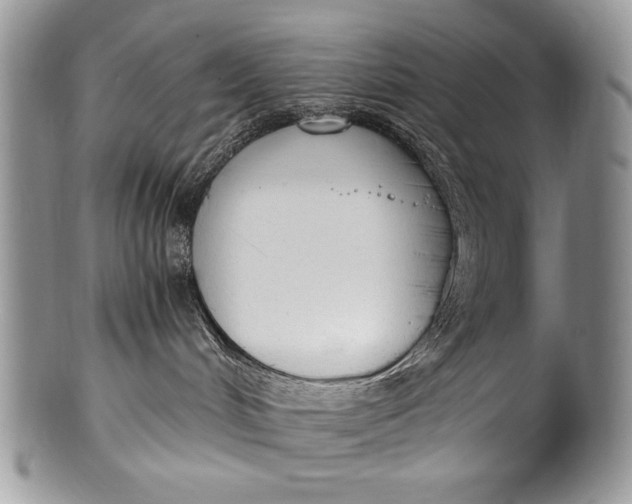 X0000100350048200806201551
