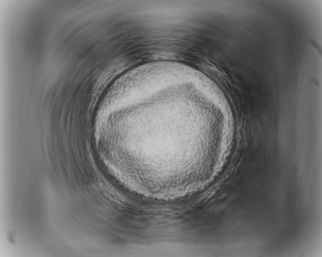 X0000100350049200806201550