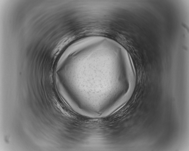 X0000100350050200806201550