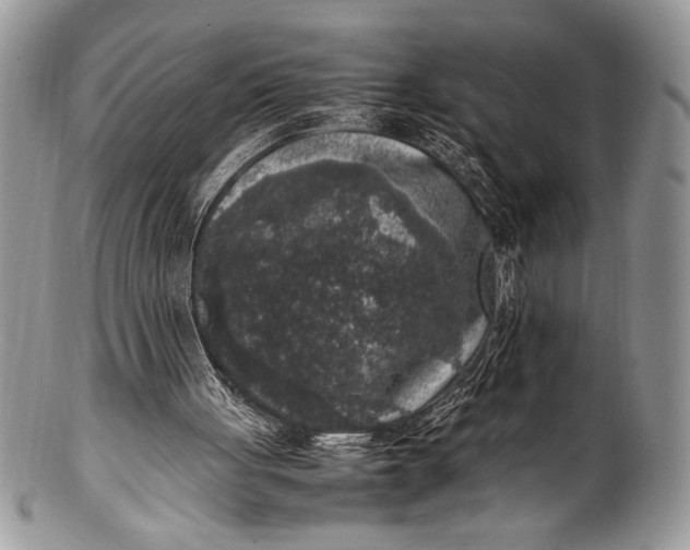 X0000100350051200806201550