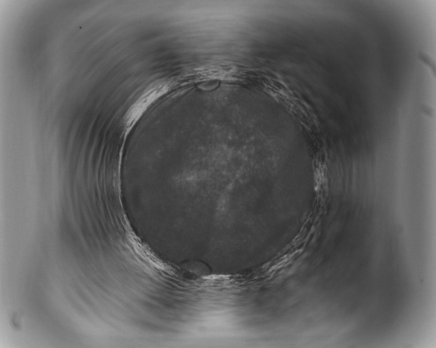 X0000100350052200806201550