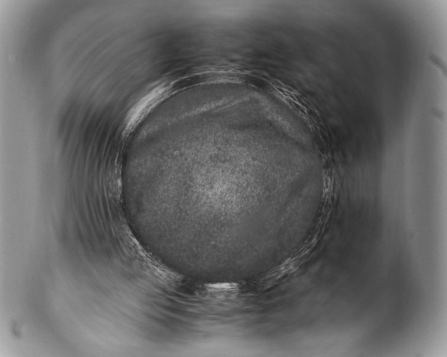 X0000100350053200806201550