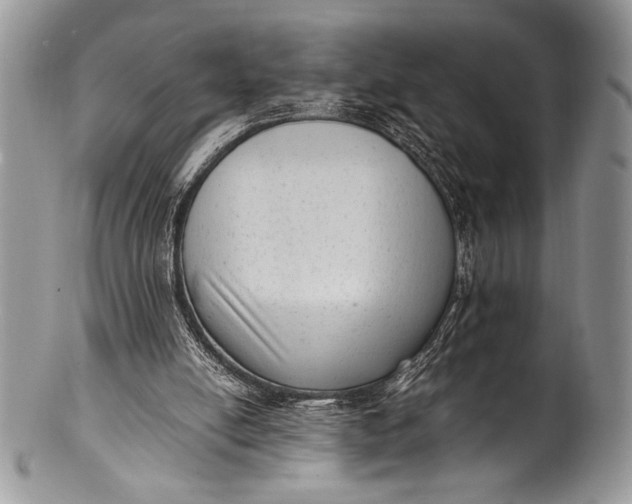 X0000100350054200806201550