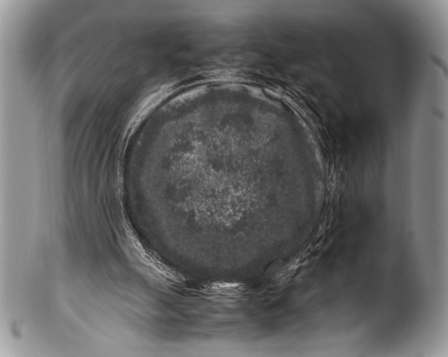 X0000100350055200806201550