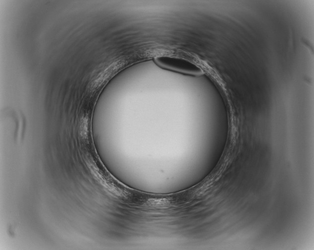 X0000100350057200806201550