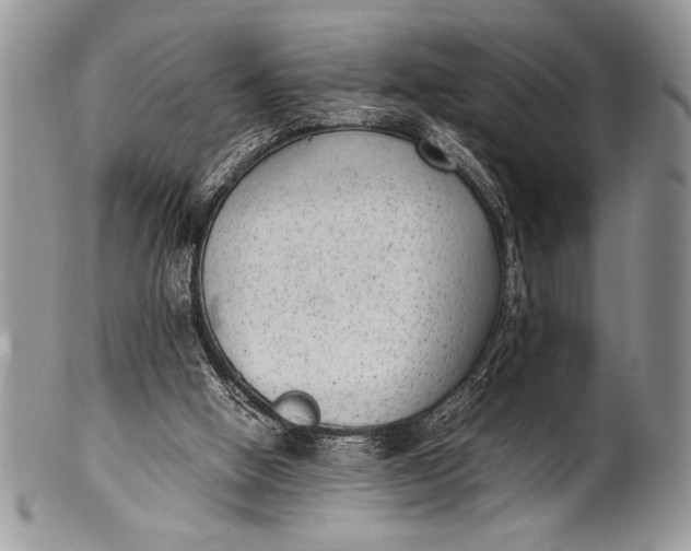 X0000100350058200806201551
