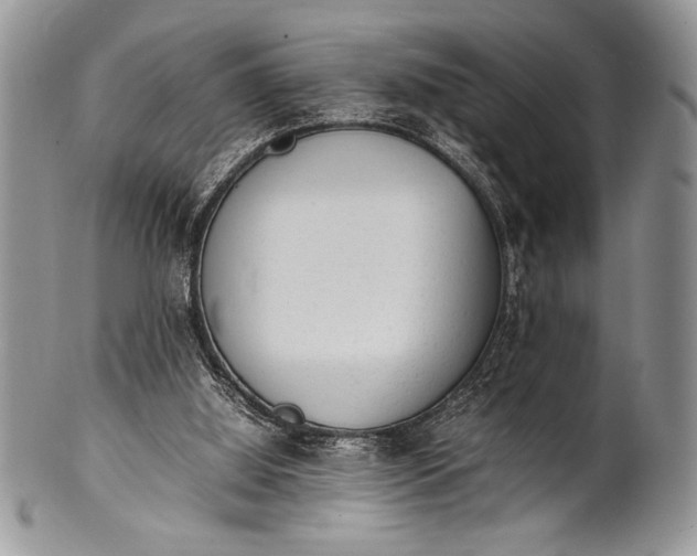 X0000100350060200806201551