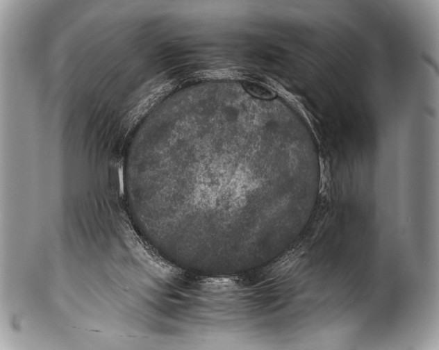 X0000100350061200806201551