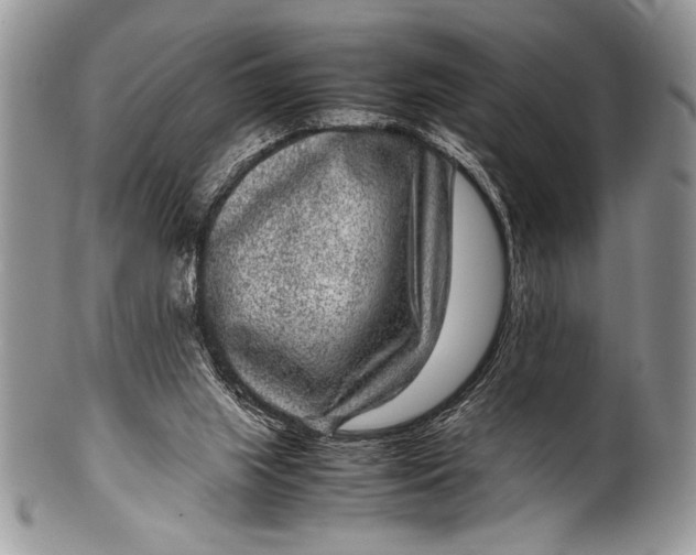 X0000100350063200806201551