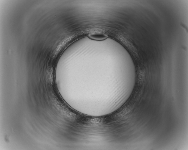 X0000100350064200806201551