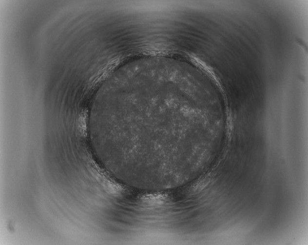 X0000100350065200806201551