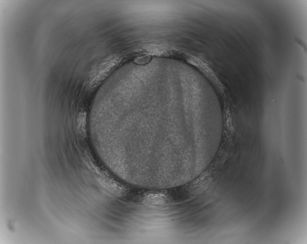 X0000100350066200806201551