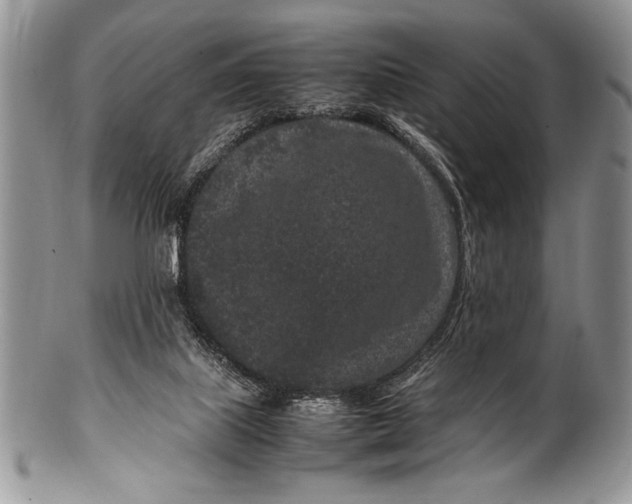 X0000100350067200806201551
