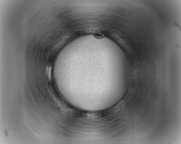 X0000100350070200806201551