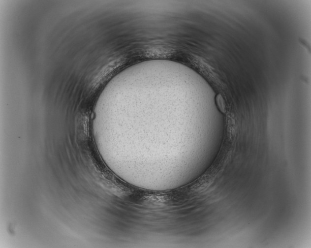 X0000100350071200806201551