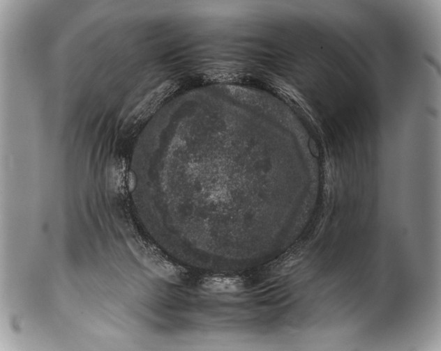 X0000100350073200806201551