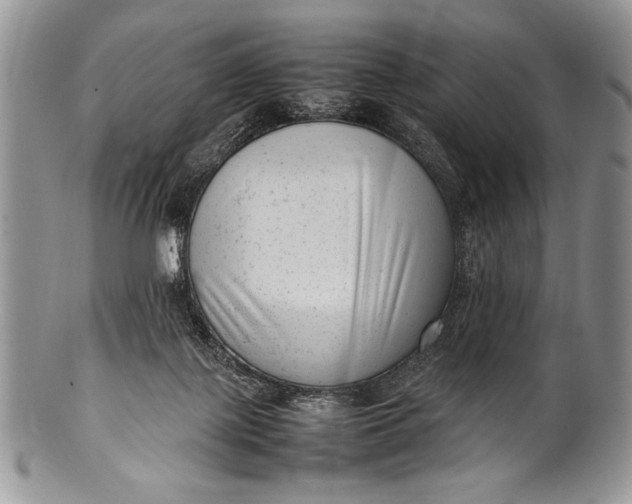 X0000100350075200806201551