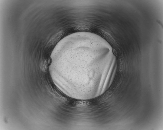 X0000100350077200806201551