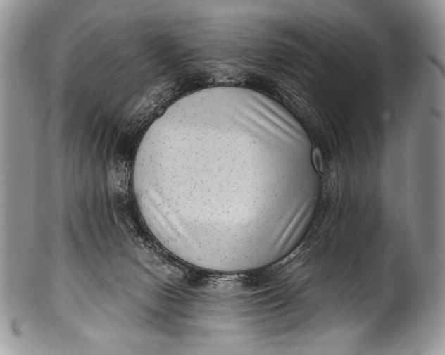 X0000100350078200806201551