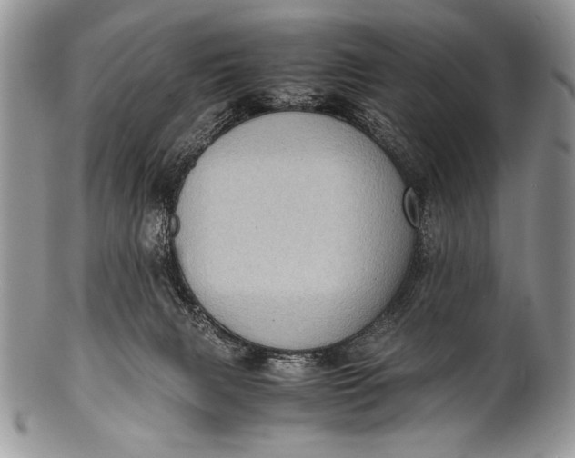 X0000100350079200806201551