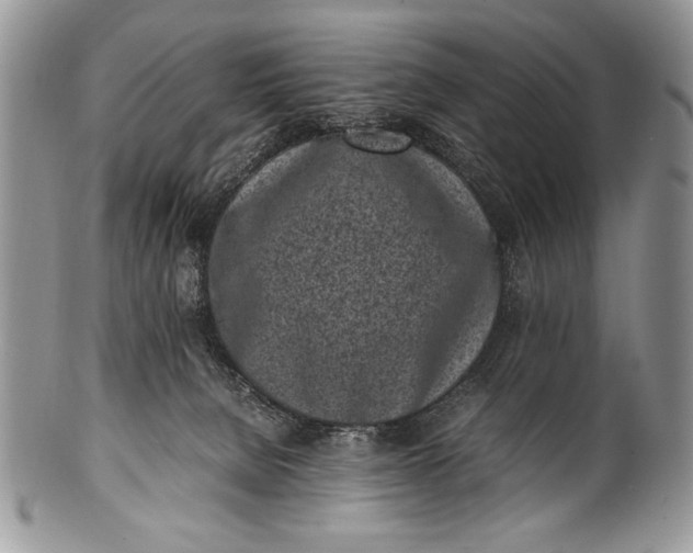 X0000100350080200806201551