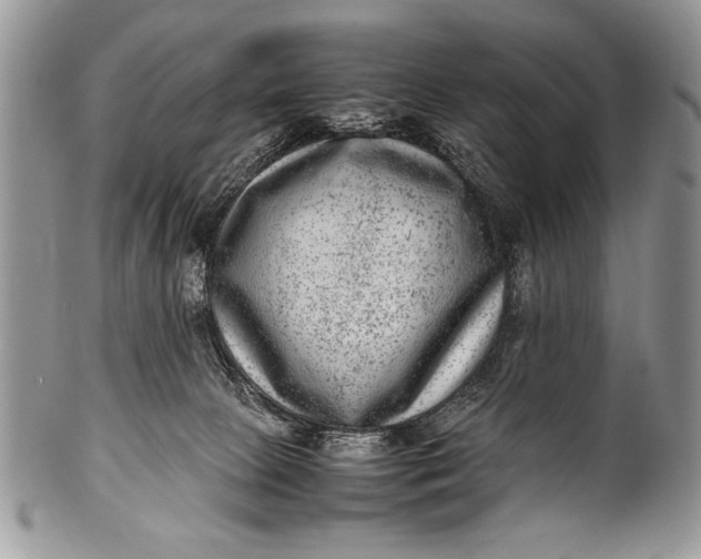 X0000100350081200806201551