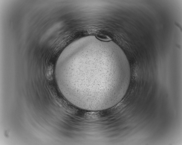 X0000100350082200806201551