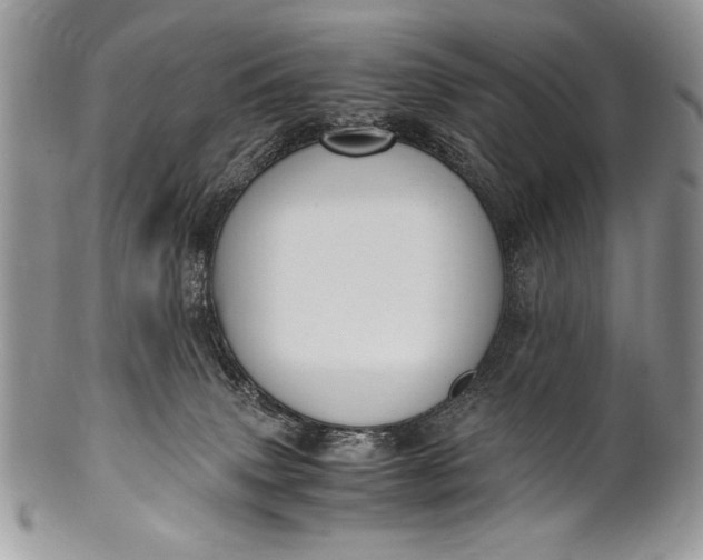 X0000100350083200806201551