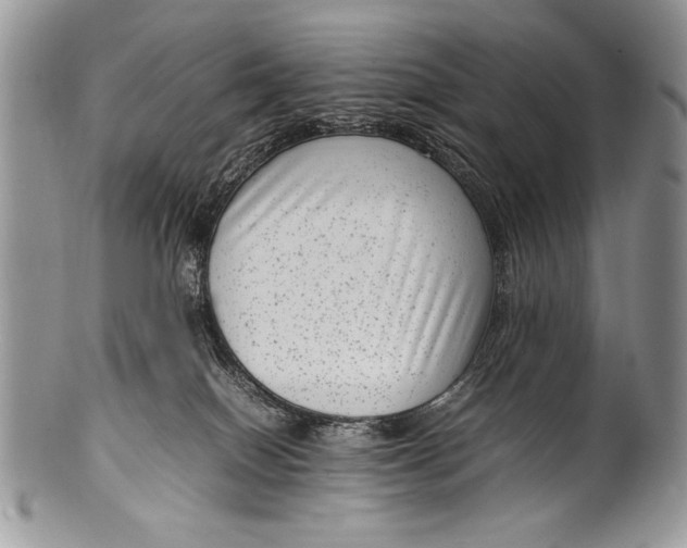 X0000100350086200806201551