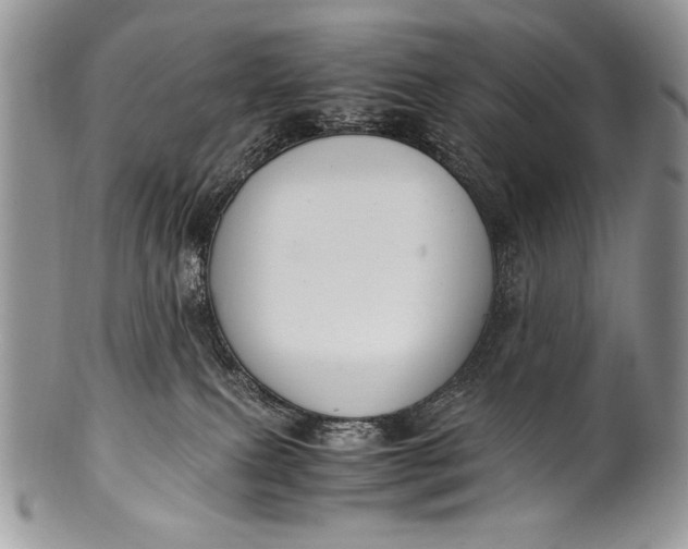 X0000100350087200806201551
