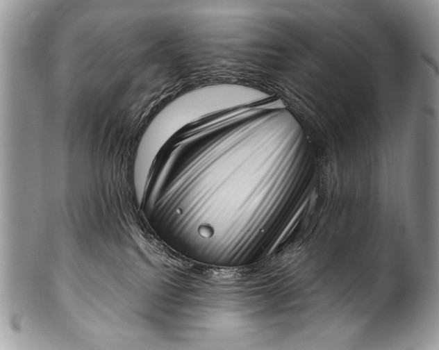 X0000100350088200806201551