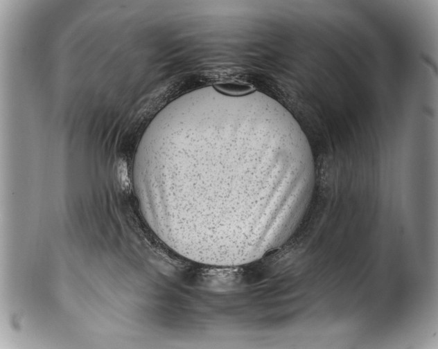 X0000100350089200806201551