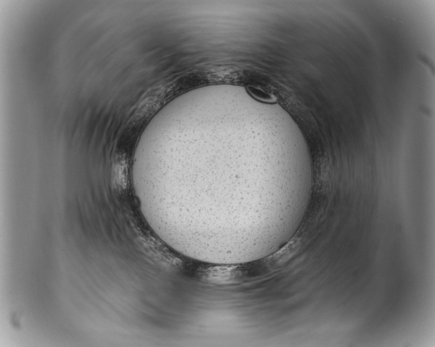 X0000100350090200806201551